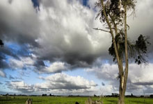 AC米兰迎战蓝鹰，双方谁更胜一筹？